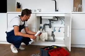 The Role of Service Professionals in Maintaining Your Plumbing System