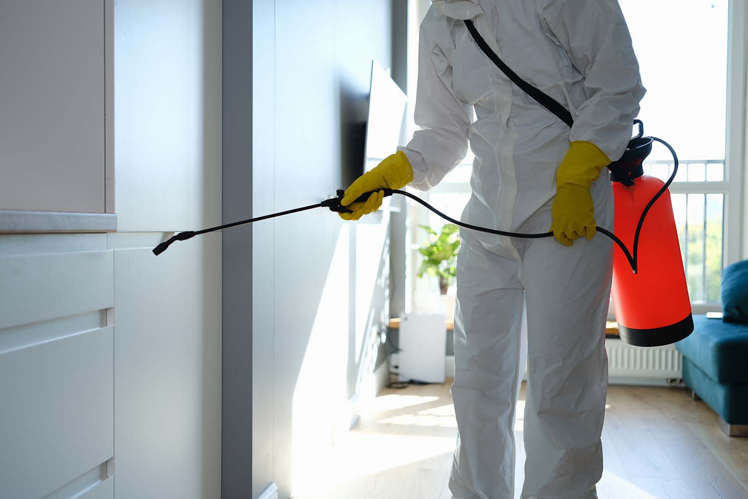 Termite Treatment Johor Bahru