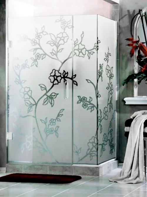 Shower Door Design